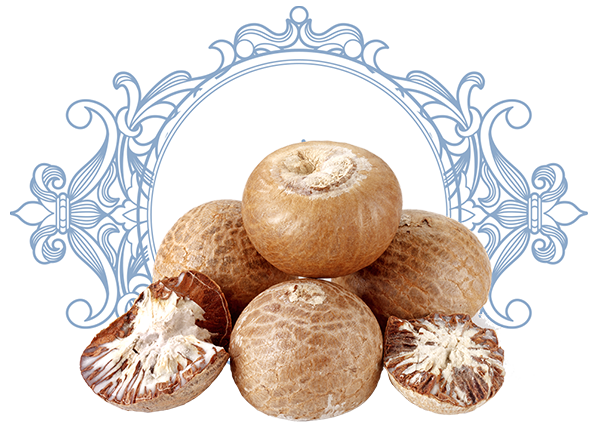 Betel nut