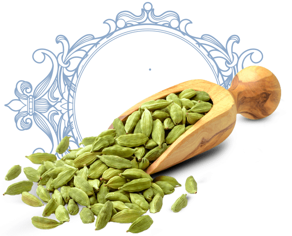 Elaichi or cardamom